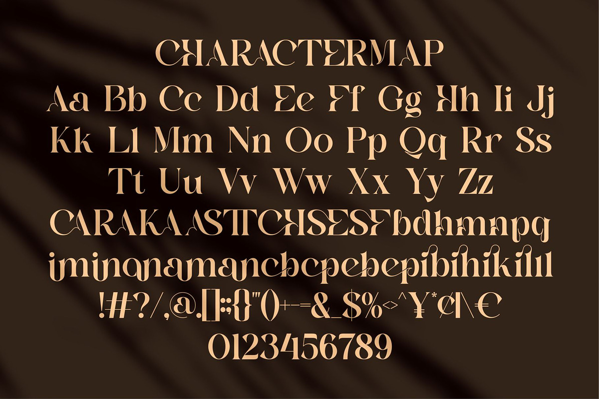 Basera || Modern Classy Serif Font, a Serif Font by Ermedia Studio (Photo 10 of 10)