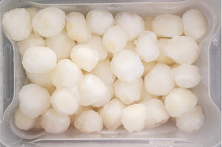 Frozen scallop in fridge at the fish, a Food & Drink Photo by Jan Jack Russo Media