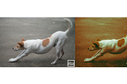 Kamin Film Feeling Roll 2, an Action Add-On by Kamin Lightroom Preset (Thumbnail 10 of 22)