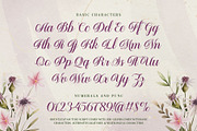 Mountleaf Typeface, a Script Font by alit design (Thumbnail 17 of 20)