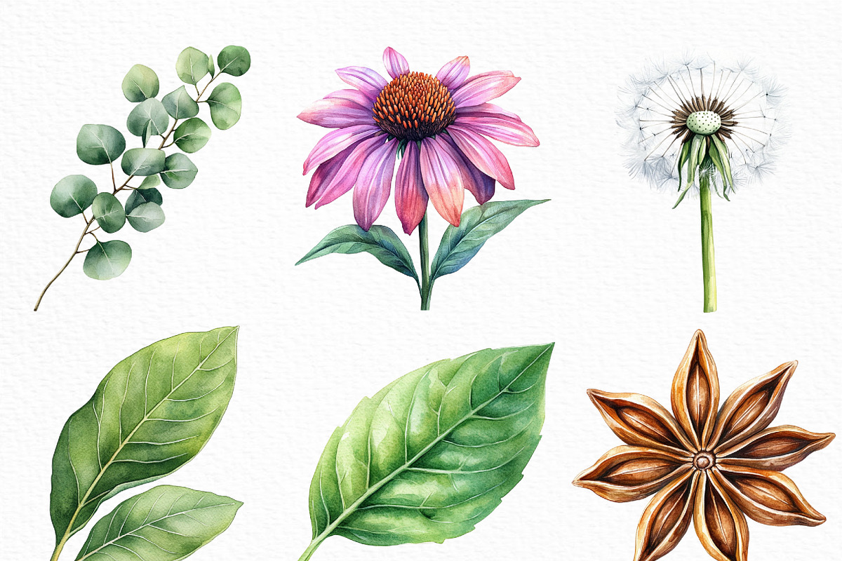 Watercolor Herbal Clipart Bundle, an Illustration by Craft Nest (Photo 3 of 6)