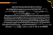 FX Njungkel - Serif Family Font, a Serif Font by Differentialtype (Thumbnail 12 of 12)