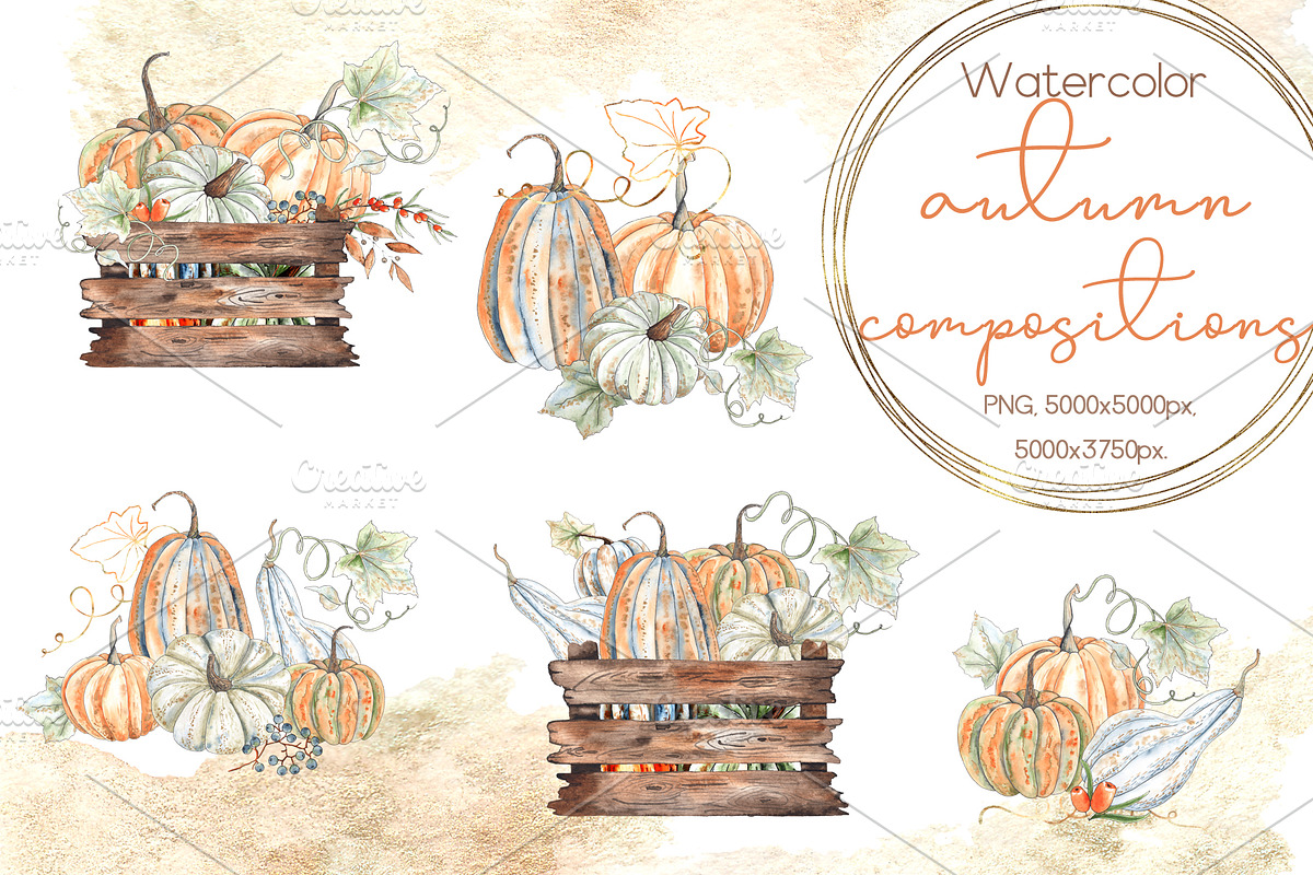 Pumpkins. Watercolor collection, an Object Graphic by Ana-Sakuta (Photo 10 of 17)