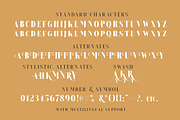 Brioche - (Medium & Black), a Serif Font by Sarid Ezra (Thumbnail 7 of 8)