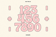 TAN - SONGBIRD, a Font by TanType (Thumbnail 15 of 16)