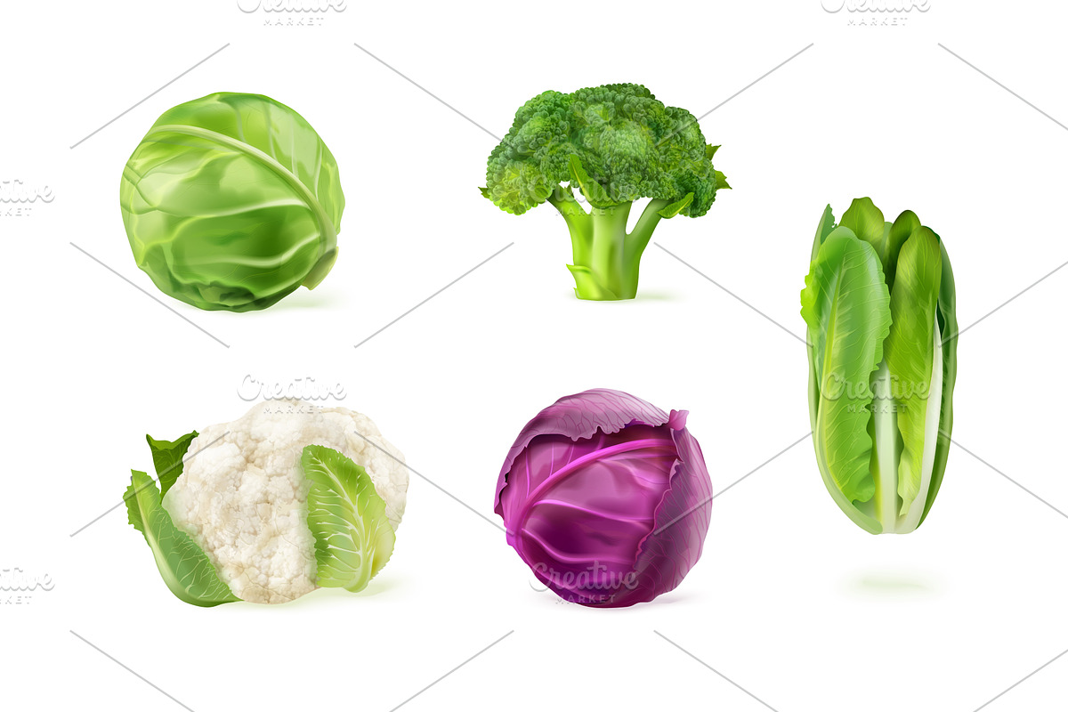 Realistic cabbages. 3d white cabbage, a Food Illustration by Stock-Smart-Start
