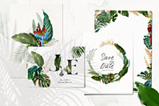 Watercolor Tropical Leaves, a Decorative Illustration by Damian Roh (Thumbnail 2 of 19)