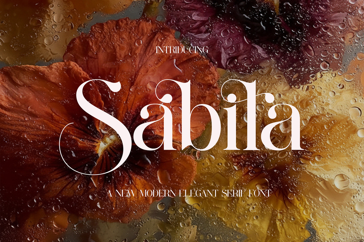 Sabila Modern Ligature Serif, a Serif Font by Alfinart (Photo 1 of 11)