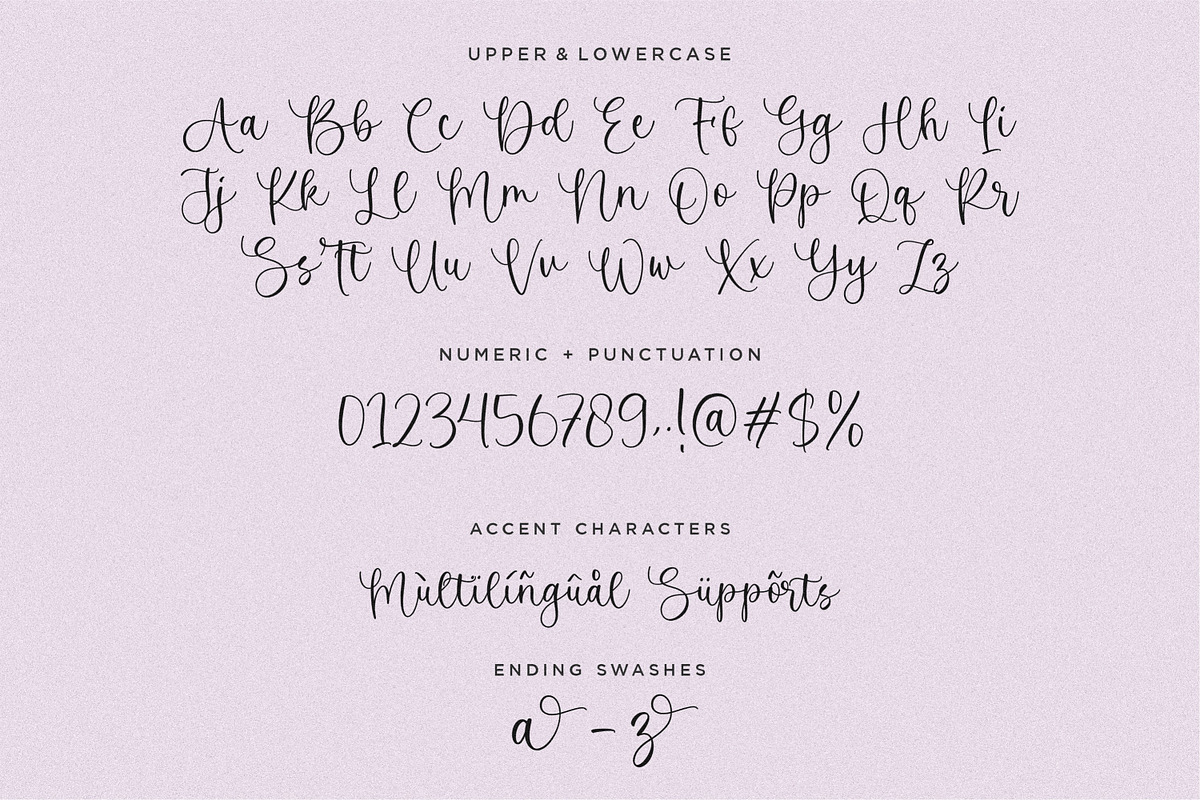 Wisterian Beautiful Script, a Script Font by Balpirick Studio (Photo 5 of 6)