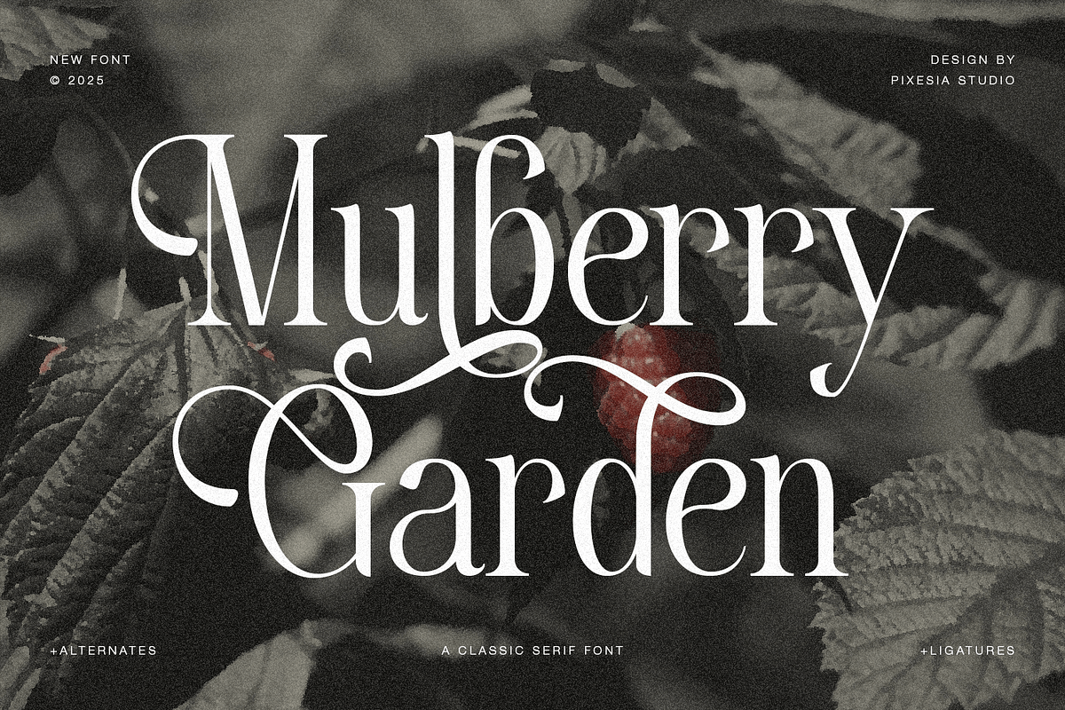 Mulberry Garden - Classic Serif Font, a Serif Font by Pixesia Studio (Photo 1 of 15)