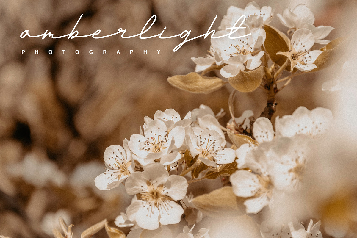 Andalusia a Beautiful Script Font, a Script Font by Lettertype Studio (Photo 17 of 19)