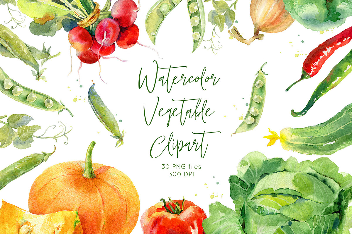 Watercolor vegetables set, a Background Graphic by Natasha Koltsova (Photo 1 of 5)