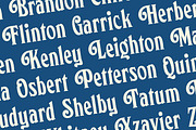 Vorlich - Classy Decorative Typeface, a Serif Font by Roams Type (Thumbnail 14 of 20)