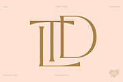 TAN - The Whistling, a Serif Font by TanType (Thumbnail 11 of 35)