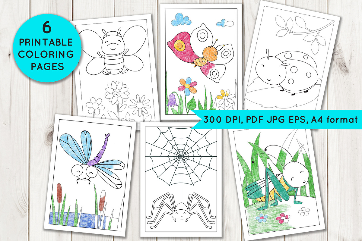 Coloring Pages with insects, an Illustration by Elena Nesterova (Photo 1 of 7)