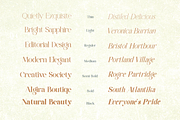 The Romance of The Past Serif Family, a Font by BOOSH Studio (Thumbnail 3 of 23)