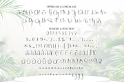 Natural | Script Font, a Handwritten Font by Scratchones (Thumbnail 7 of 9)