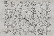 100 Magnolia Procreate Stamps, a Brush Add-On by TheWhiteCatLab (Thumbnail 3 of 5)