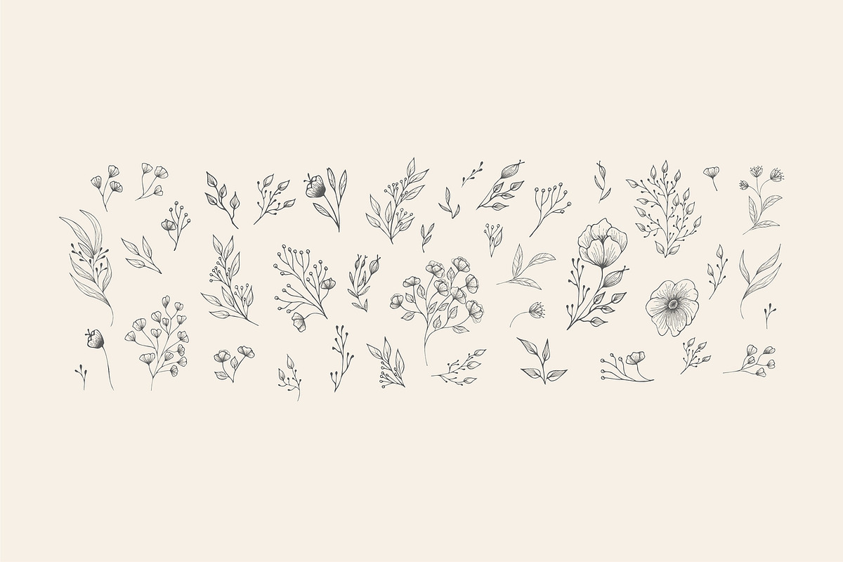 Hand drawn foliage collection, a Decorative Illustration by Merfin (Photo 2 of 5)