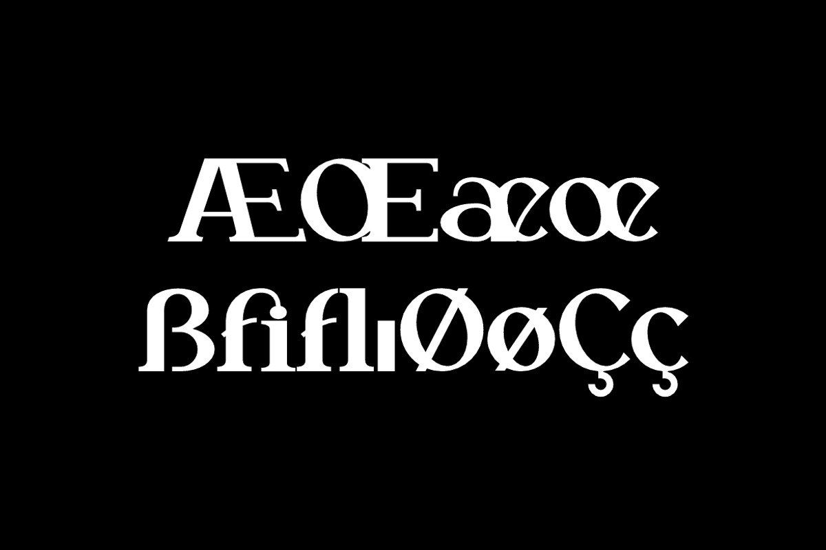 Wotche - Modern Fashion Font, a Serif Font by QR Design Studio (Photo 8 of 13)