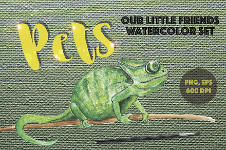 PETS. Watercolor set 