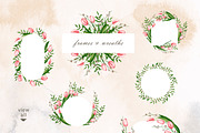 Blooming tulips. Watercolor set, a Pattern Graphic by Ola_Vola (Thumbnail 2 of 9)