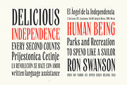 Yarar, a Serif Font by True Story Letterworks (Thumbnail 6 of 11)