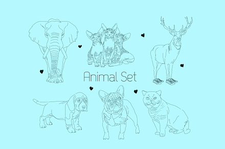 Animals set