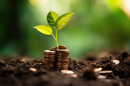 An image that represents the idea of financial growth and invest, a Business Photo by designvectx