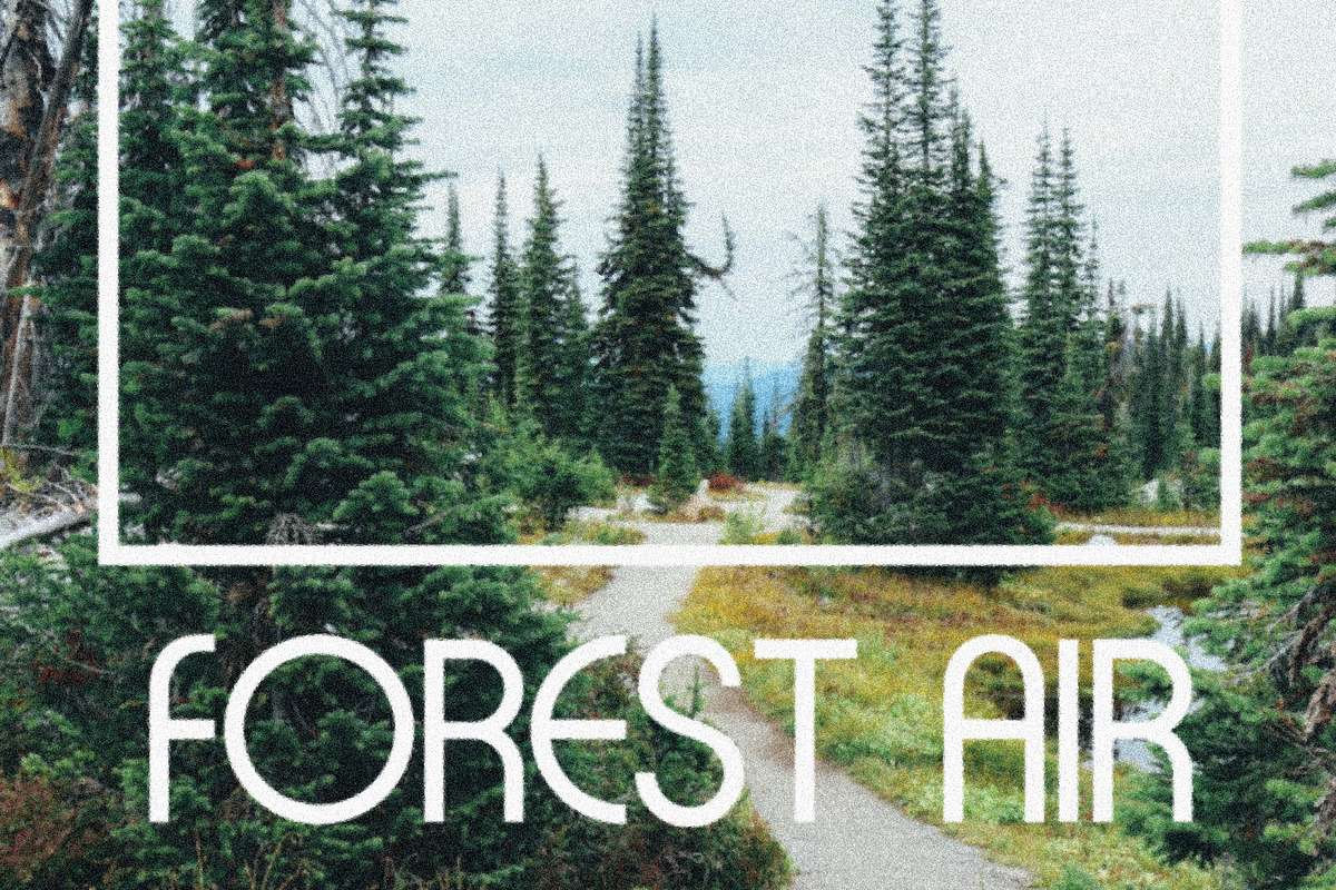 Milk Made - A Retro Font, a Sans Serif Font by Loryn Ipsum (Photo 2 of 13)