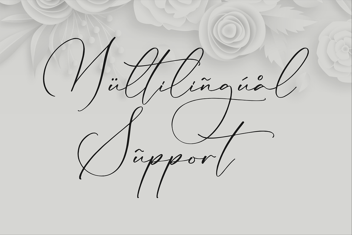 Lillywhite A Beautiful Script Font, a Script Font by Storytype Studio (Photo 12 of 15)