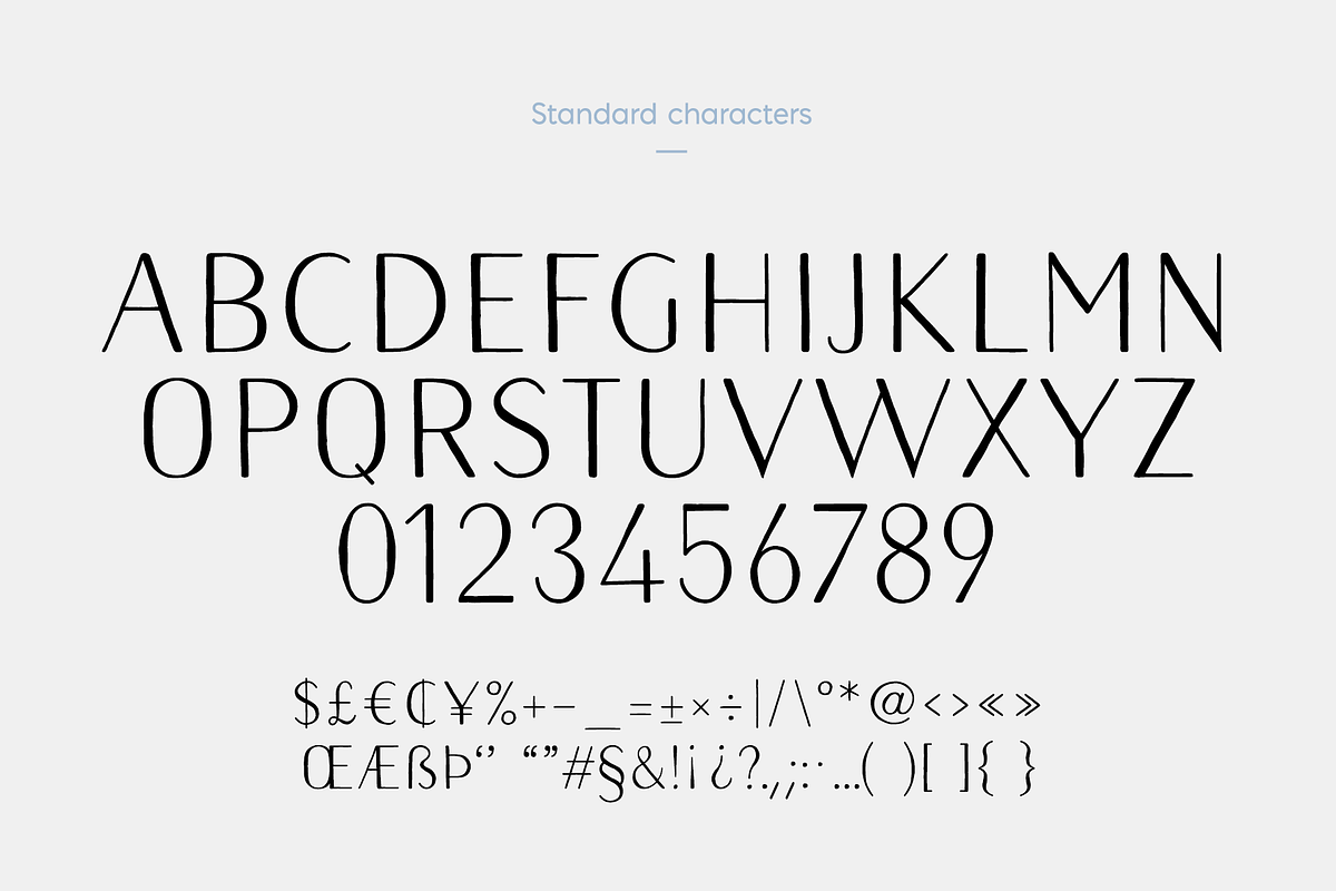 Naive Sans Medium & Shake, a Handwritten Font by S&C Type (Photo 3 of 6)