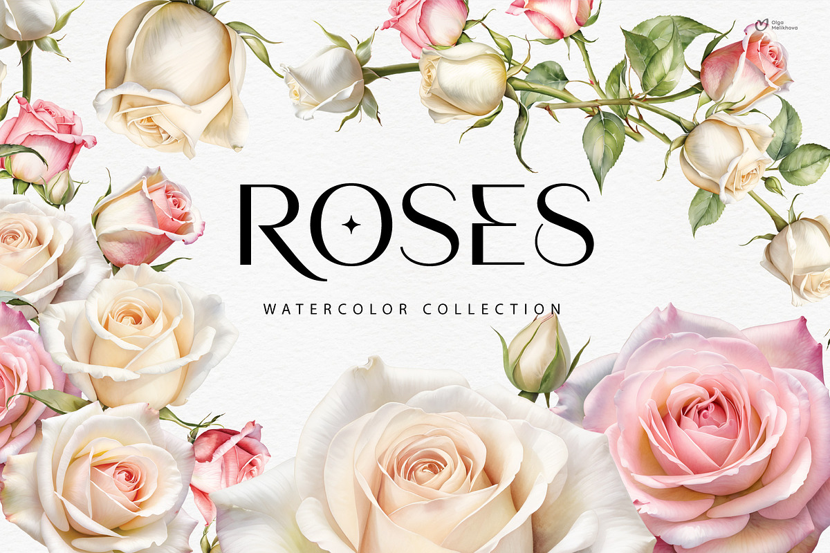 Roses - watercolor flowers, an Object Illustration by ollalya (Photo 1 of 8)