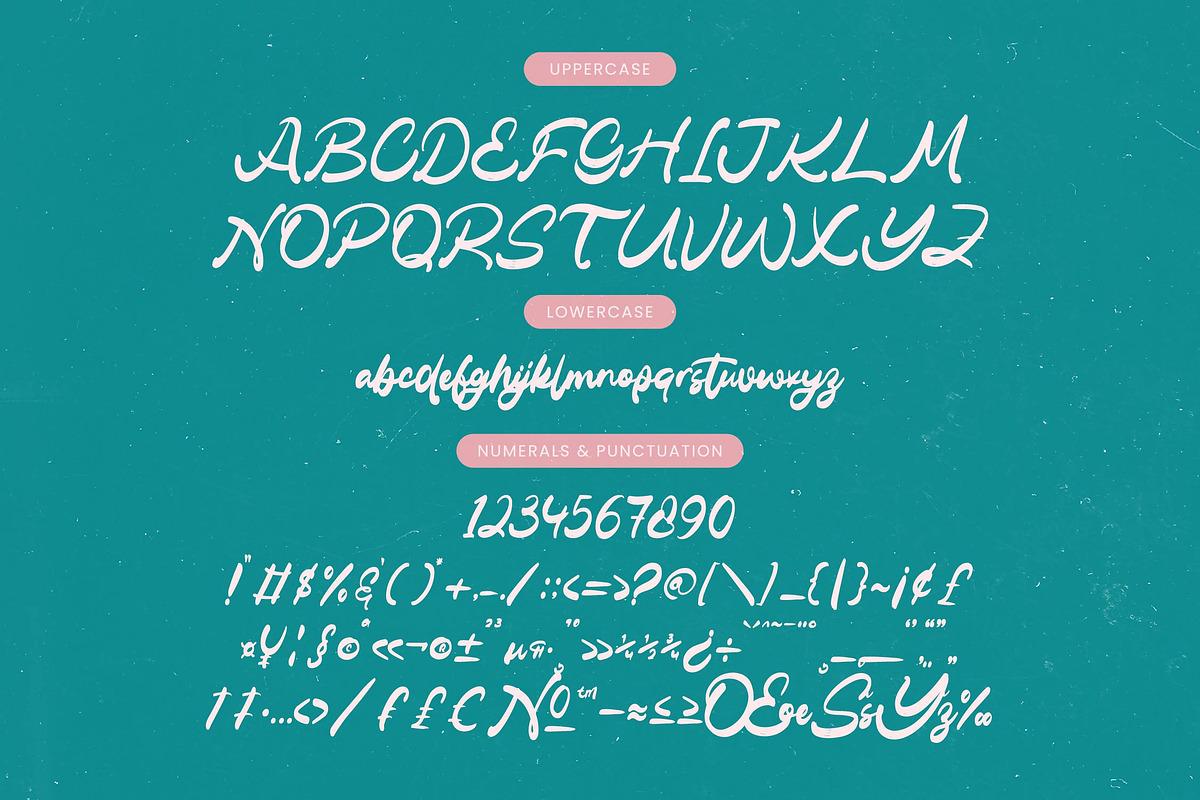 Gelmake Clencha Bold Calligraphy, a Script Font by Letterena Studios Script (Photo 17 of 20)