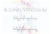 Alchemila Script, a Script Font by Chocotype Std (Thumbnail 13 of 16)