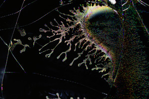 Static noise abstract pixel glitch artifacts wave, a Background Photo by Photo Drive Studio