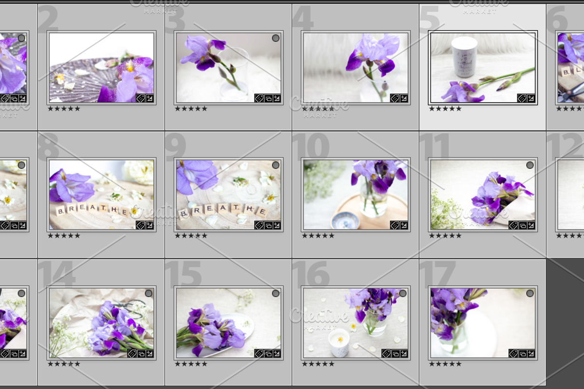 Purple Iris Styled Stock Collection, a Photo by Chalking Up Stock (Photo 19 of 19)