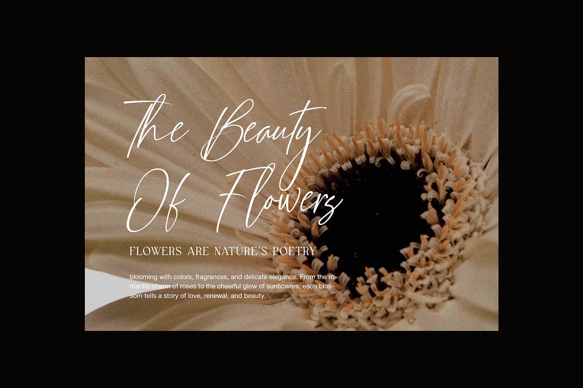 Ginger Coffe Signature Font, a Script Font by Graphicxell (Photo 5 of 8)