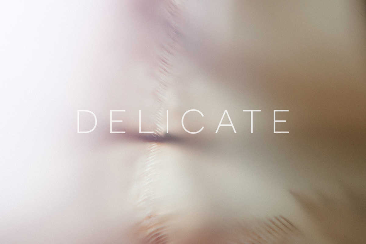 Delicate | 20 Feather Photos, a Nature Photo by Melanie Helena (Photo 2 of 20)
