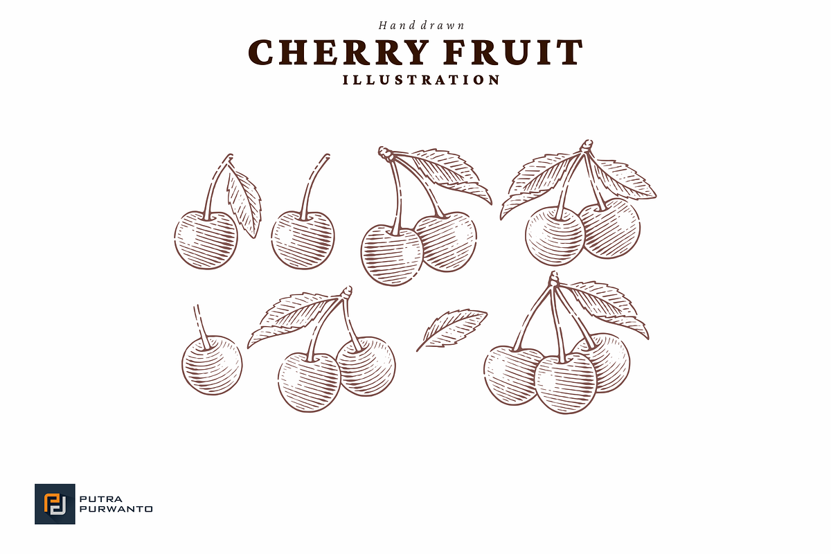 Hand drawn Cherry Illustration, a Food Illustration by putra_purwanto (Photo 1 of 3)