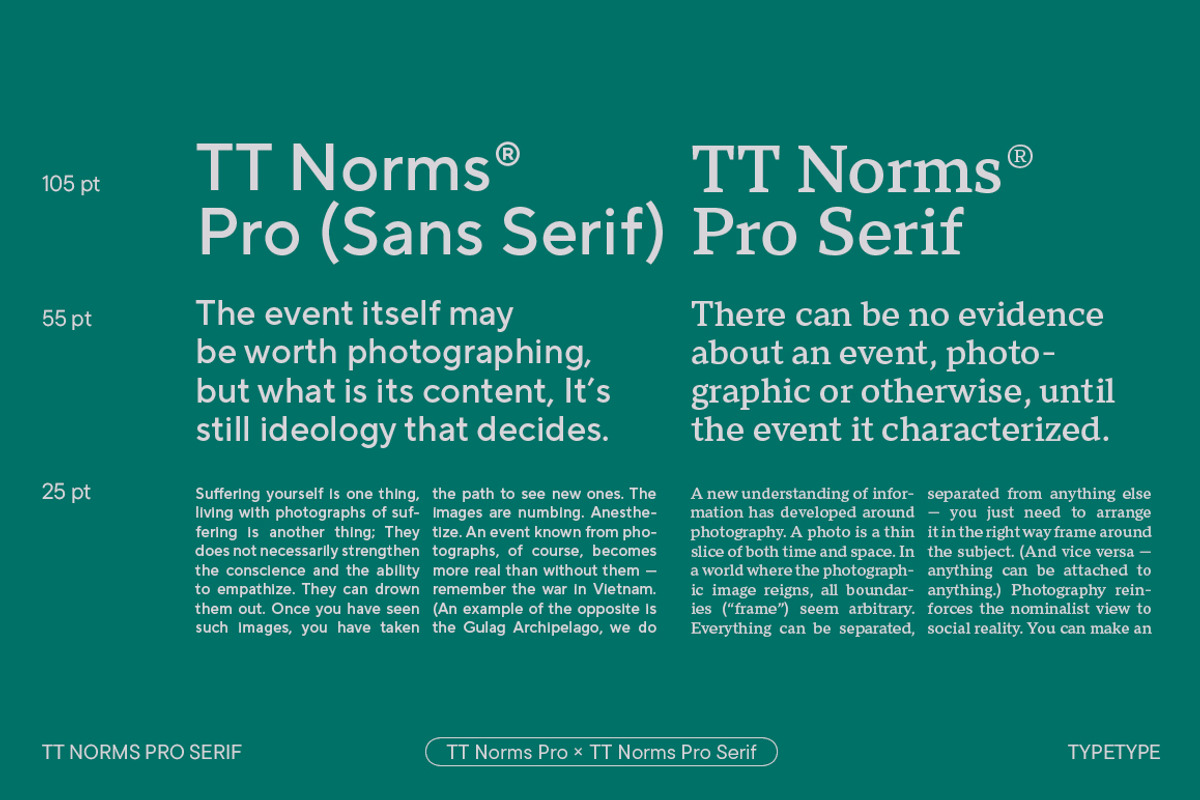 TT Norms Pro Serif, a Serif Font by TypeType (Photo 13 of 15)