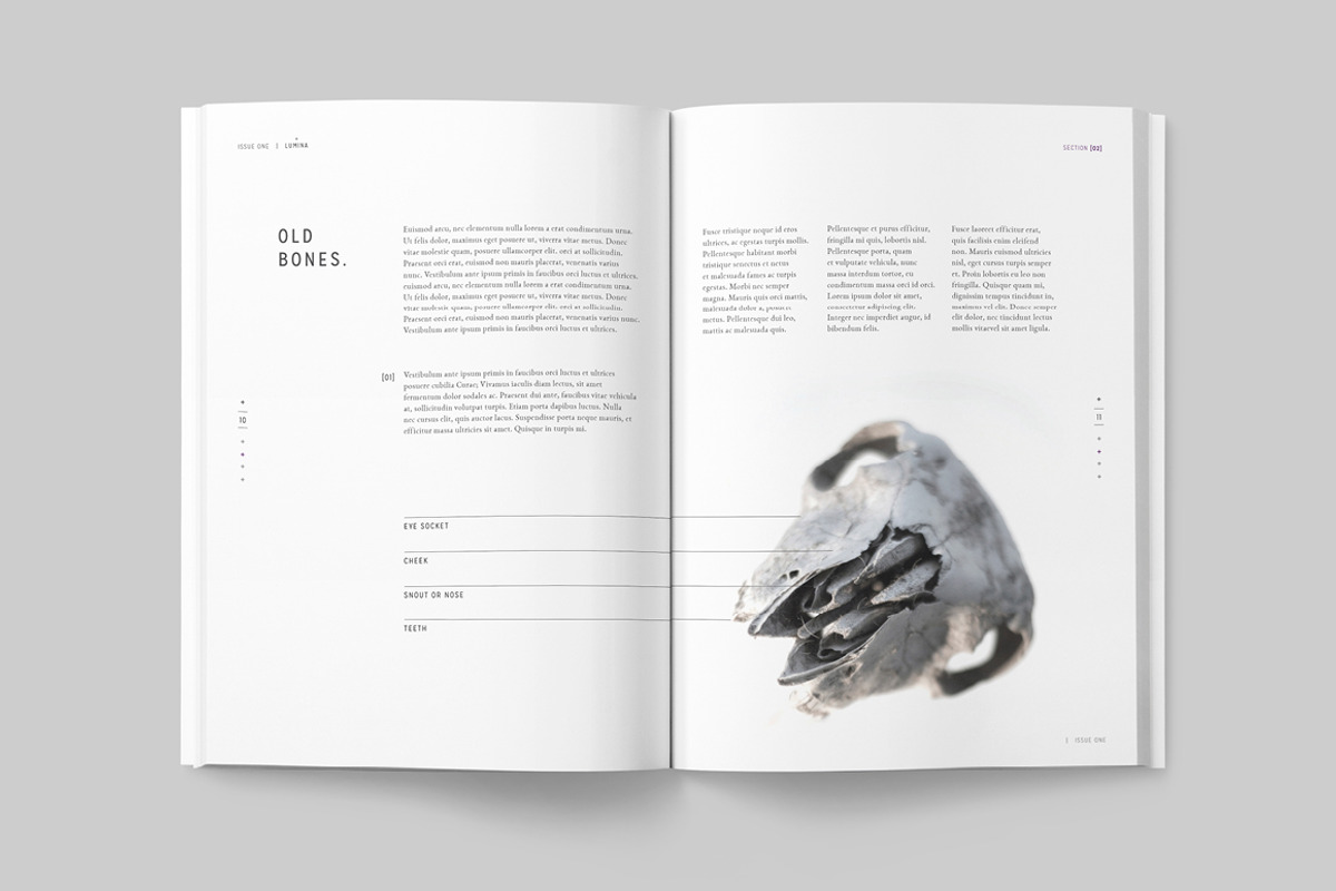 LUMINA Magazine, a Magazine Template by 46&2 Collective (Photo 9 of 27)