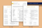 Professional Resume Template Word, a Resume Template by VictoriousVita (Thumbnail 4 of 8)