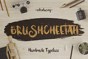 Bruscheetah Brush Font, a Font by TGIF.STD (Thumbnail 1 of 6)