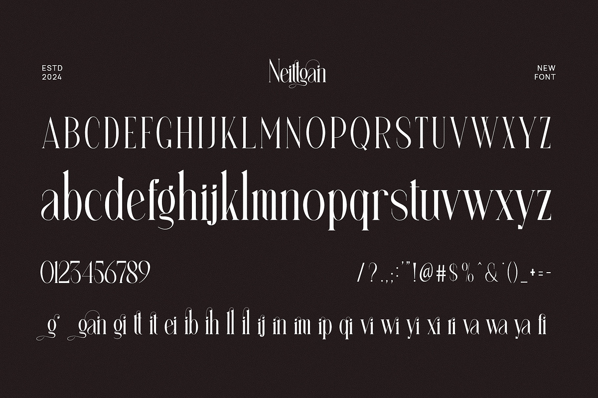 Neittgan Elegant Ligature Serif Font, a Serif Font by Perfectype (Photo 6 of 6)