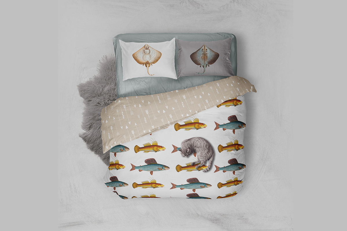 500+ Vintage Fish Illustrations, an Illustration by Dene Studios (Photo 4 of 15)
