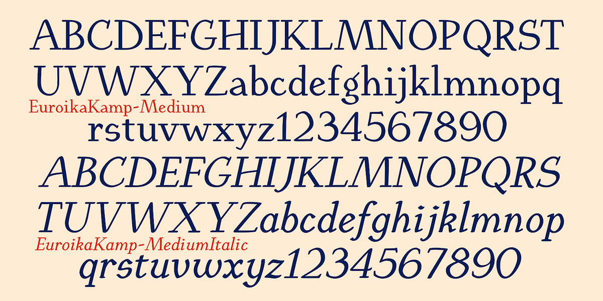 EuroikaKamp, a Serif Font by Ingrimayne Type (Photo 9 of 11)