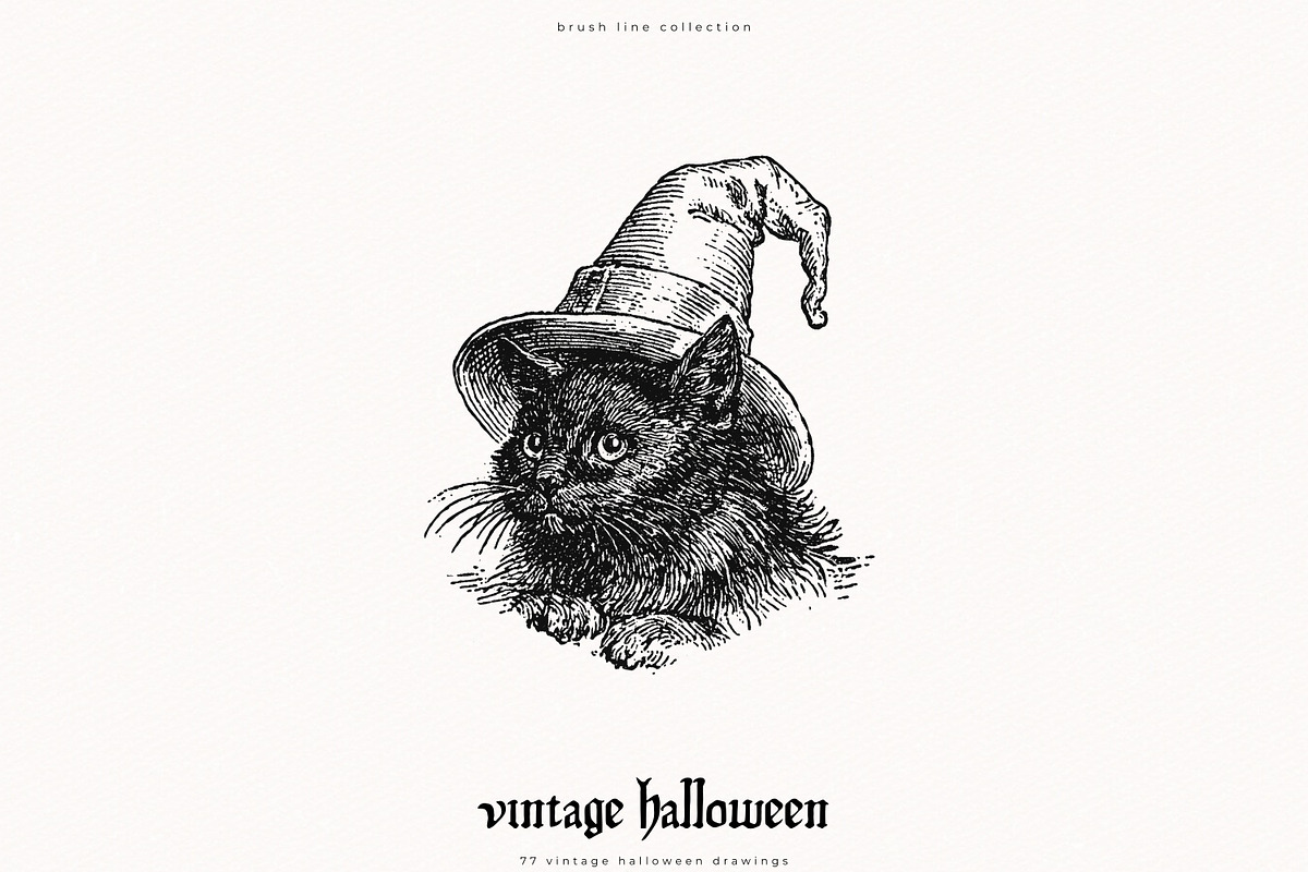 Vintage Halloween Drawings, a Seasonal Illustration by PeDe Designs (Photo 3 of 12)