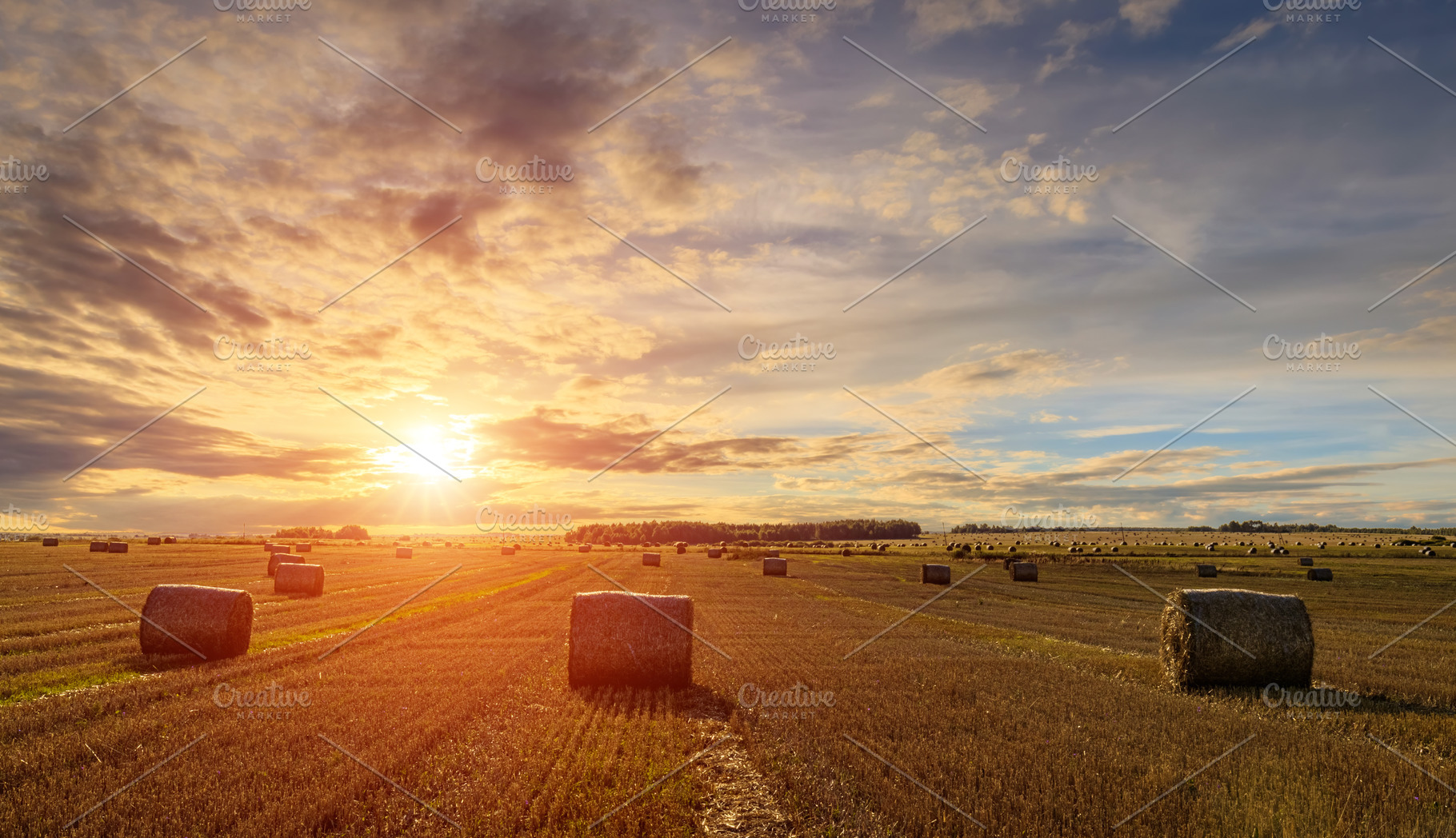 Hay bales in an agricultural field during sunset. Rural landscap, a Nature Photo by Eugene_Photo