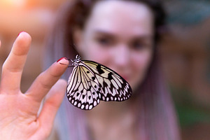 Butterfly On Hand Close Up. Colorful